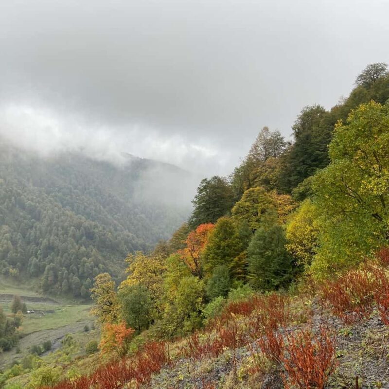 Tbilisi: Pankisi Gorge Horse Riding Tour with Dinner - Detailed Breakdown of the Experience