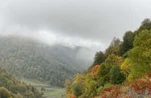 Tbilisi: Pankisi Gorge Horse Riding Tour with Dinner - Analyzing the Value