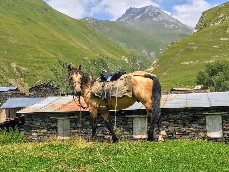 Tbilisi Stepantsminda & Truso Valley Full-Day Small Group Tour - Truso Valley’s mineral water and rough tracks