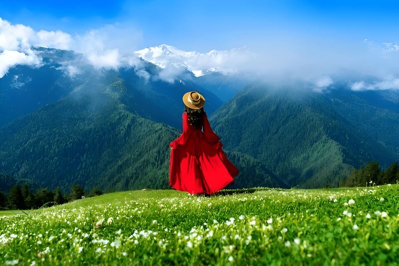 Tbilisi to Kazbegi, Gudauri & Ananuri Full-Day Nature Tour - At a glance