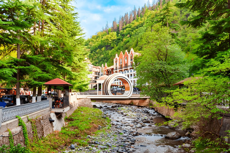 Tbilisi Vardzia Cavetown & Borjomi Central Park Historical Tour - Vardzia Cave City: the main attraction