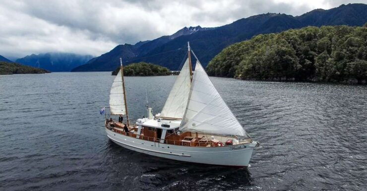 Te Anau: Evening Scenic Cruise - Experience Highlights