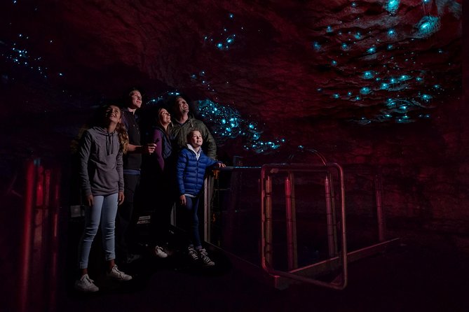 Te Anau Glow Worm Caves Tour - Tour Overview and Highlights