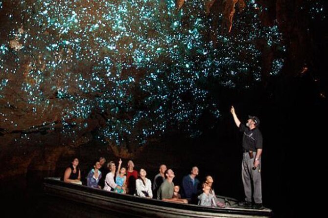 Te Anau Glow Worm Caves Tour - Meeting and Pickup