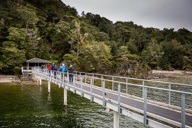 Te Anau Glow Worm Caves Tour - Tour Experience