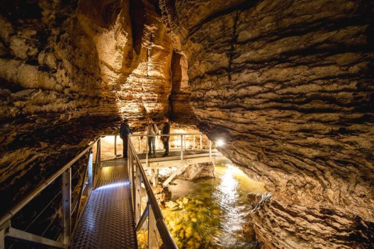 Te Anau: Glowworm Caves Guided Tour - Experience Highlights