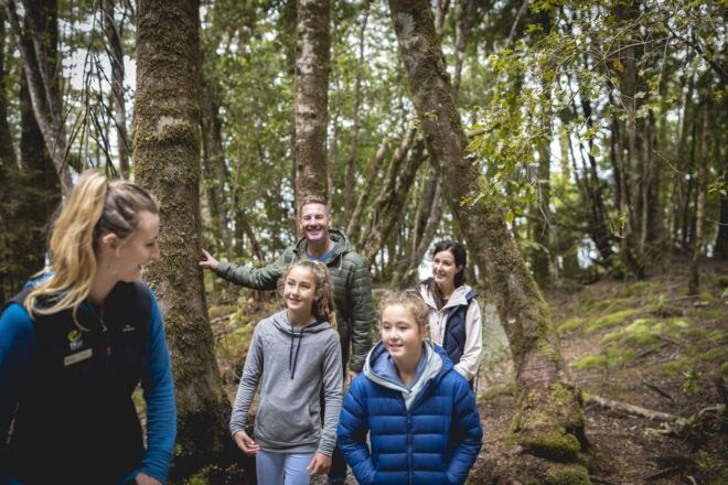 Te Anau: Glowworm Caves Guided Tour - Rock Formations and Cave Networks