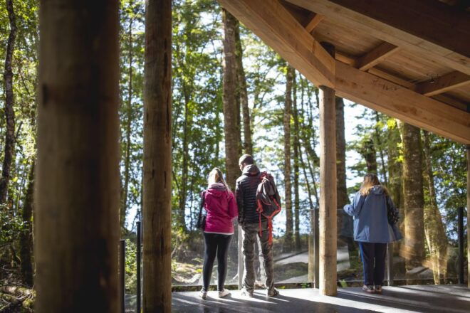 Te Anau: Glowworm Caves Guided Tour - Customer Reviews and Testimonials