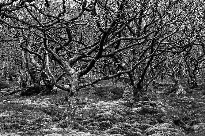 Te Anau Highlights & Lord of the Rings Small Group Tour From Te Anau - Common Questions