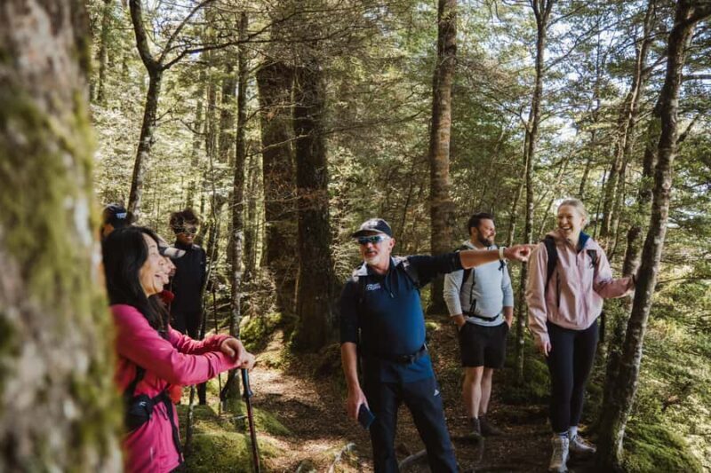 Te Anau: Jet Boat Ride & Kepler Track Guided Hike - Good To Know
