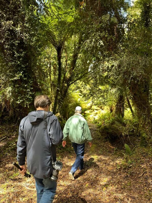Te Anau: Kepler Heli Hike (unguided) - Why This Tour Is Worth Your Time