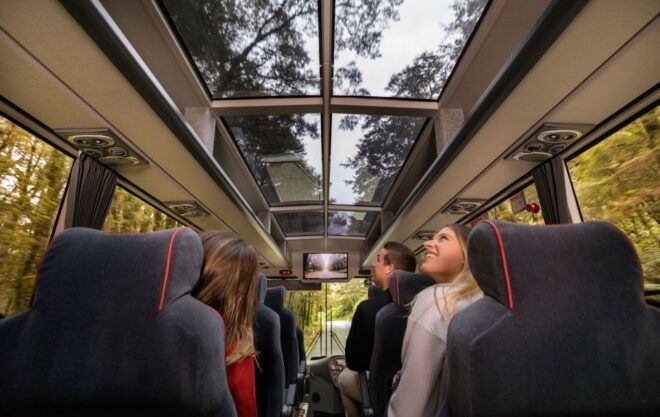 Te Anau: Milford Sound Bus, Cruise, Observatory, & Lunch - Scenic Journey on the Milford Road