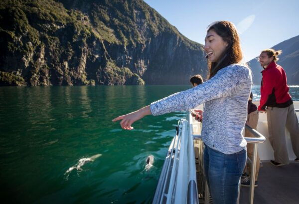 Te Anau: Milford Sound Bus, Cruise, Observatory, & Lunch - Common Questions