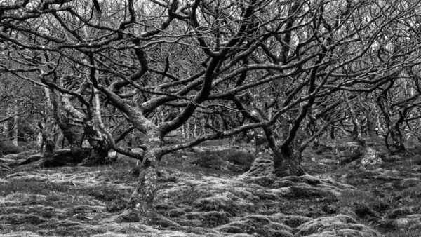 Te Anau: Natural Landmarks & Lord of the Rings Location Tour - The Sum Up