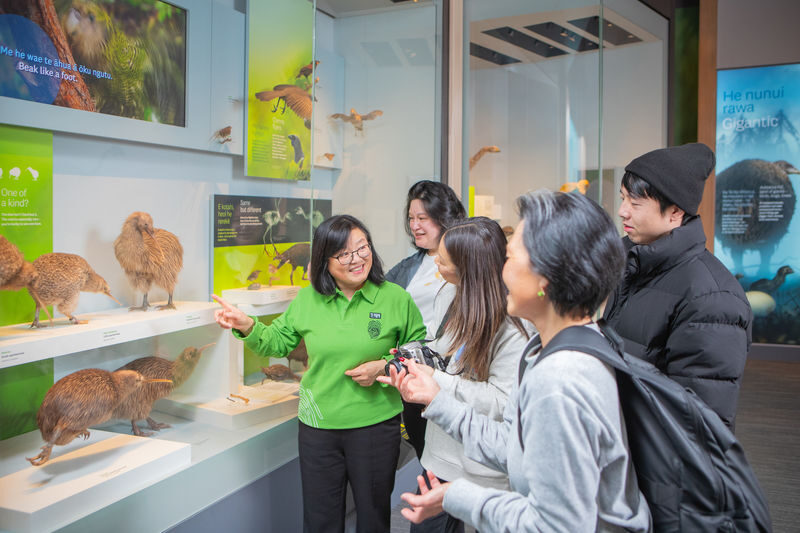 Te Papa Museum in Wellington - Choose a tour or set your own pace