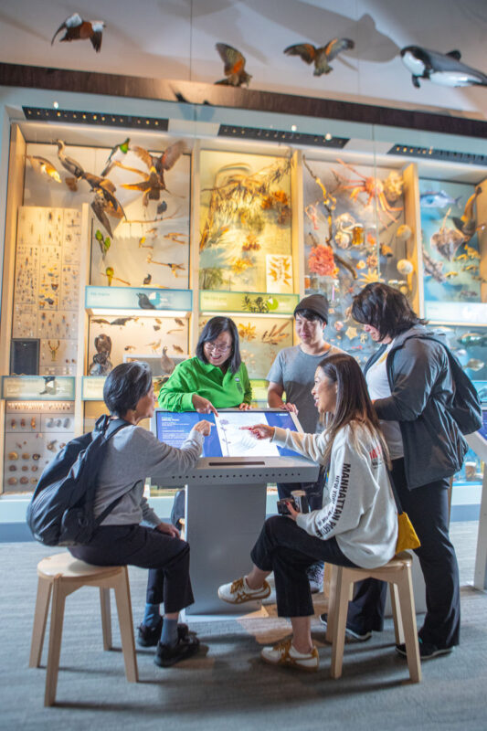 Te Papa Museum in Wellington - Make the 48-hour ticket work for you
