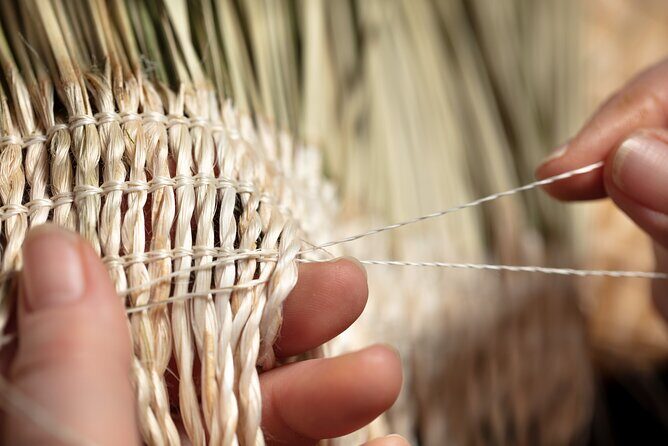 Te Puia Geothermal, Kiwi and Mori Art - Who Should Consider This Tour?