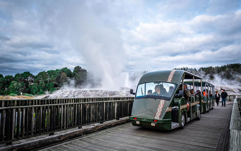 Te Puia, Haka and Polynesian Spa Rotorua Small Group Tour - Is $258.95 good value?