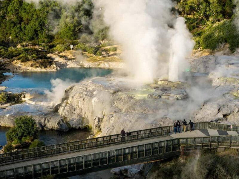 Te Puia: Te P Indigenous Combo - Tour, Dinner + Haka - Good To Know