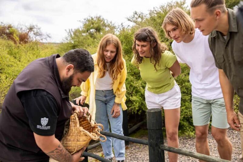 Te Puia: Tuku Iho Trail with Cultural Show - Practical Details and What You Need to Know
