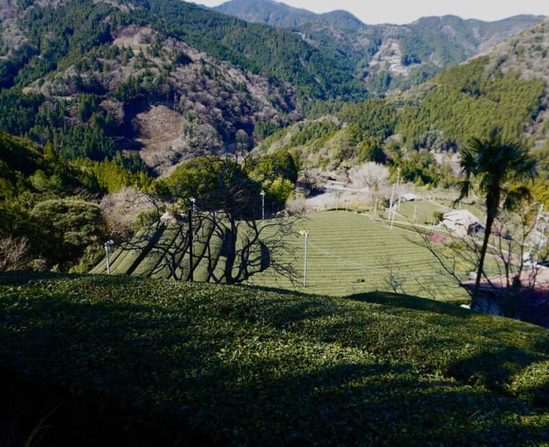 Tea Ceremony Experience - FAQ