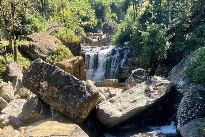 Tea Country Day Tour from Kandy - Nuwara Eliya - Final Thoughts