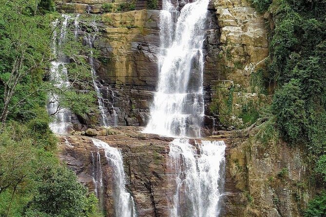 Tea Factory Plantation and Water Falls Tour - Itinerary Overview