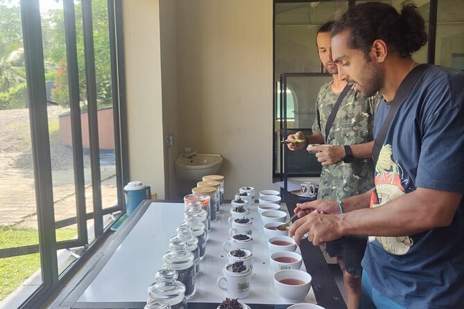 Tea Factory Tour With Tea Tasting Session - Additional Tour Information
