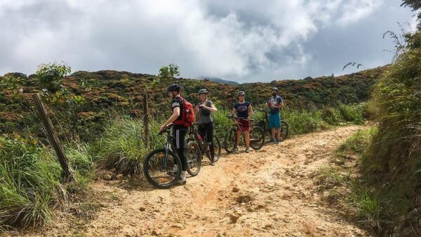 Tea Fields by Bicycle From Kandy - Why Choose This Experience