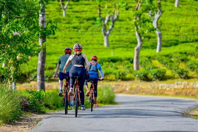 Tea Loops E-Biking - FAQs About the Tea Loops E-Biking Tour