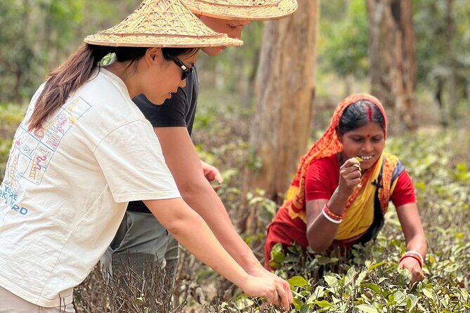 Tea Plantation and Rainforest Tour with Tribal Life in Sreemangal - Good To Know