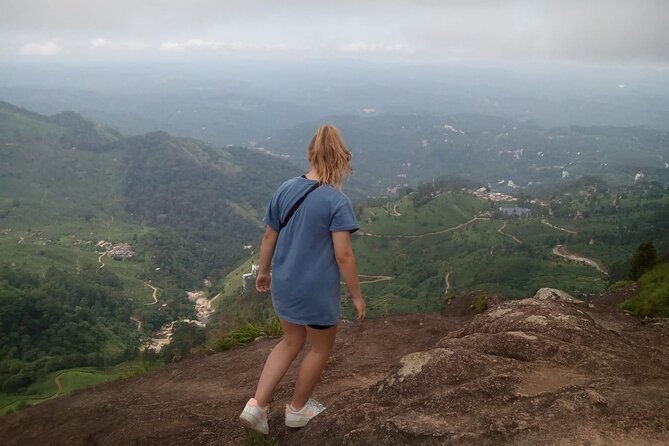 Tea Plantation, Grass Land and Mountain Hiking in Munnar - Good To Know