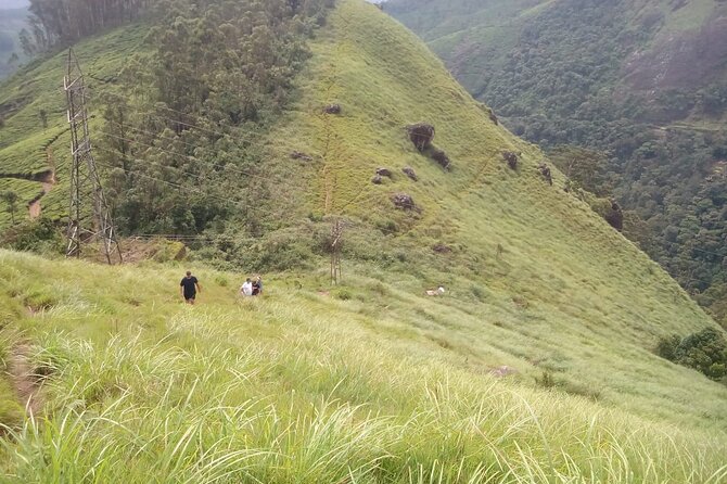 Tea Plantation, Grass Land and Mountain Hiking in Munnar - Exploring Grass Lands