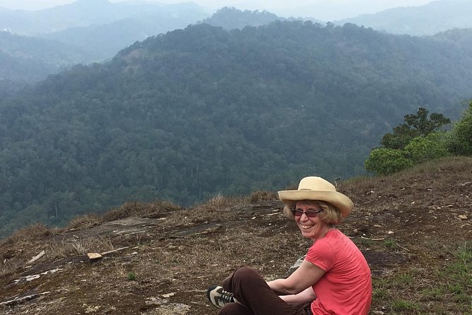 Tea Plantation Walk and Stay in Valley View Room (By Munnar Info) - Good To Know