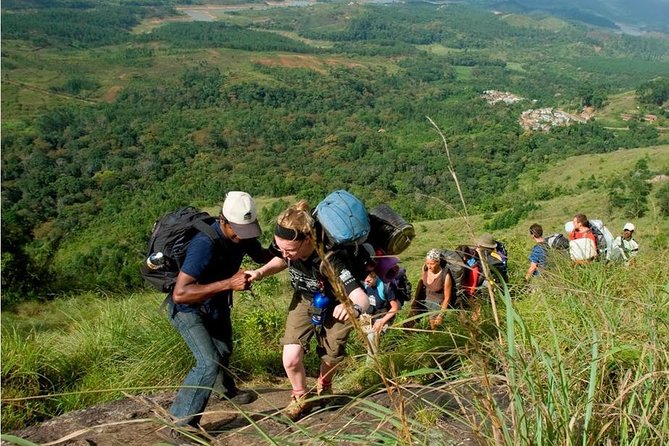 Tea Plantation Walk and Stay in Valley View Room (By Munnar Info) - Inclusions Provided