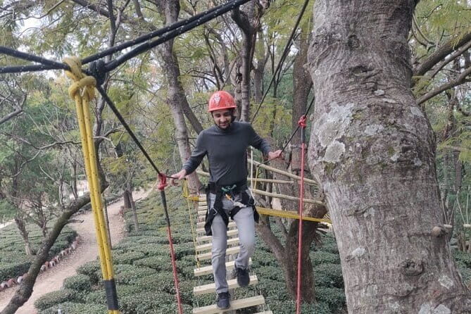 Tea Top Adventure Activities - Good To Know