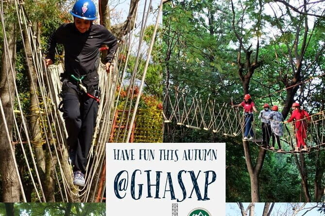 Tea Top Adventure Activities - The Itinerary in Detail: What to Expect