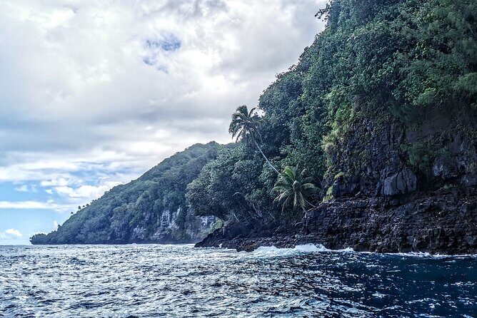 Teahupo'o Jurassic Tour and Private Diving - Final Thoughts