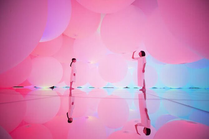 Team Lab Planets Tokyo Timed Entry Admission Ticket - What Is teamLab Planets Tokyo?