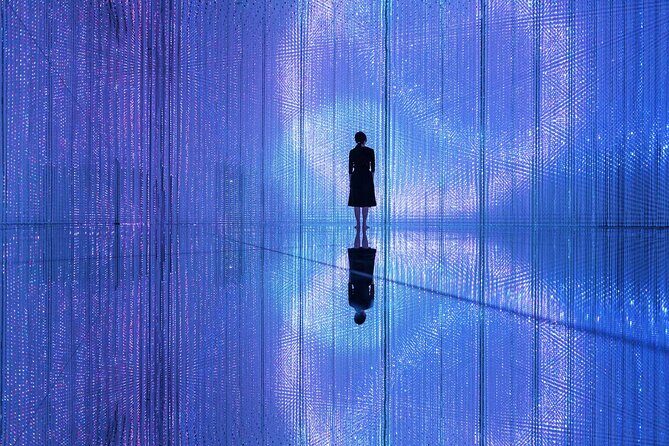 Team Lab Planets Tokyo Timed Entry Admission Ticket - A Deep Dive into the Experience at teamLab Planets Tokyo