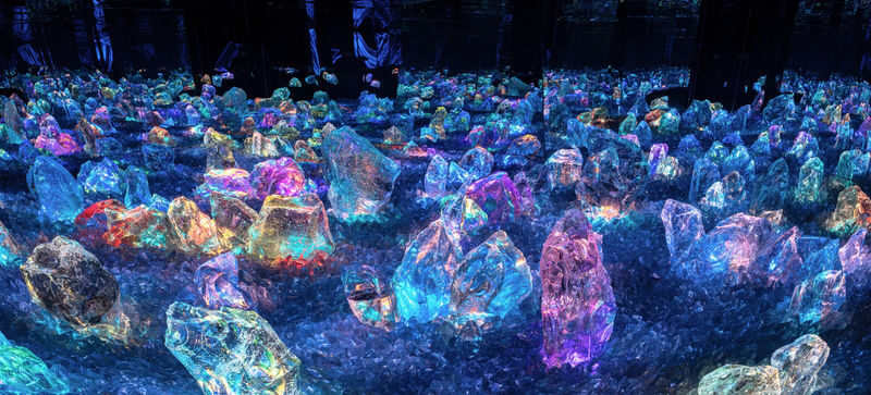 teamLab Biovortex Kyoto ticket - Price, ticket choices, and the badge offer
