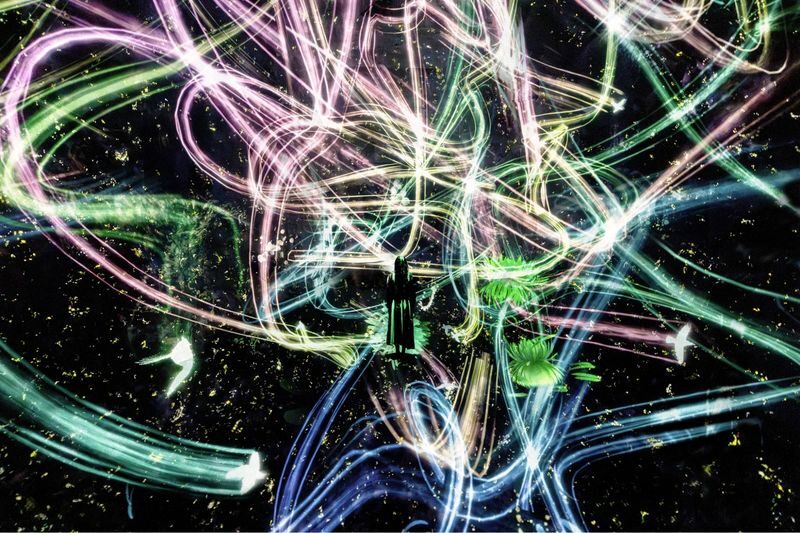 teamLab Biovortex Kyoto ticket - Practical details for a smoother visit