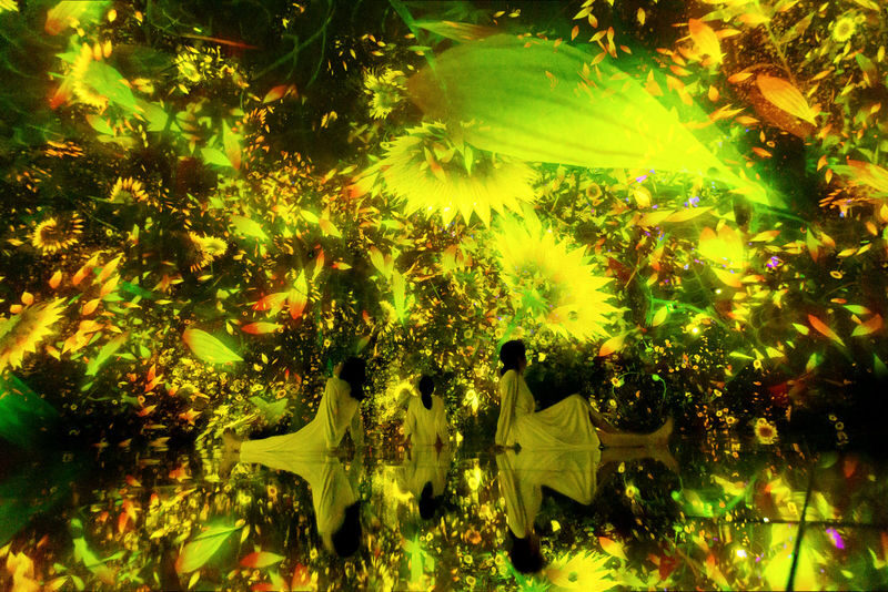 teamLab Biovortex Kyoto ticket - Should you book teamLab Biovortex Kyoto?