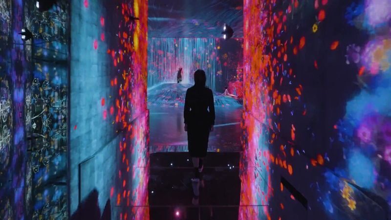 teamLab Borderless Tickets: MORI Building DIGITAL ART MUSEUM - A museum without a set route