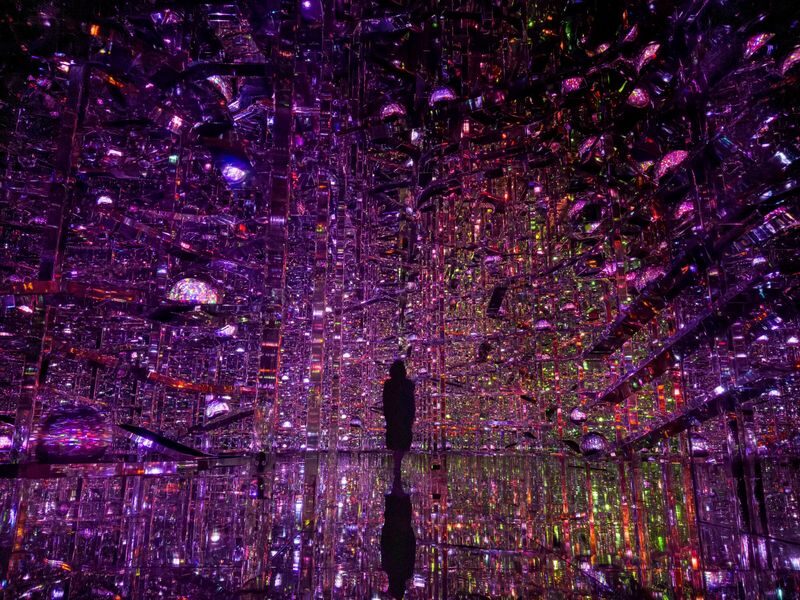 teamLab Borderless Tickets: MORI Building DIGITAL ART MUSEUM - How long to spend, and when to go