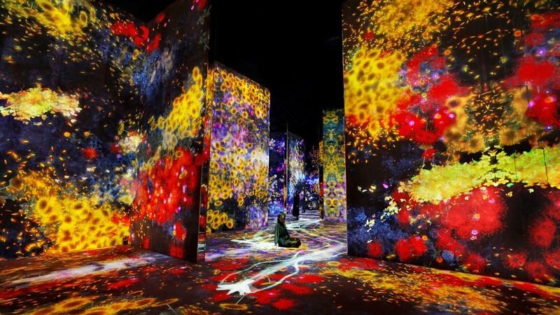 teamLab Borderless Tickets: MORI Building DIGITAL ART MUSEUM - Tickets, price and what the choices mean