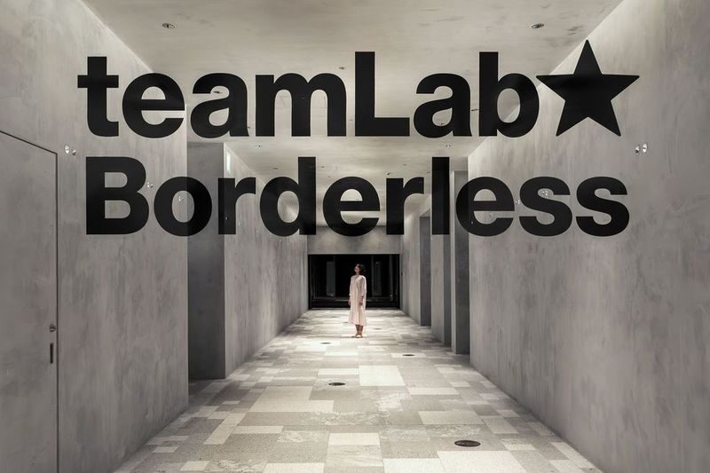 teamLab Borderless Tickets: MORI Building DIGITAL ART MUSEUM - Who will enjoy it, and who should think twice