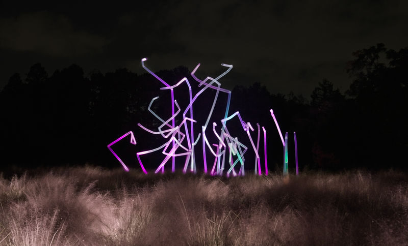 teamLab Botanical Garden Osaka Ticket - What makes this garden walk different