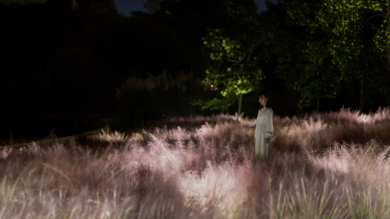 teamLab Botanical Garden Osaka Ticket - An art walk after dark in Nagai Park