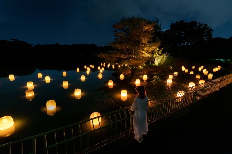 teamLab Botanical Garden Osaka Ticket - Cosmos and the lamps on Oike Lake